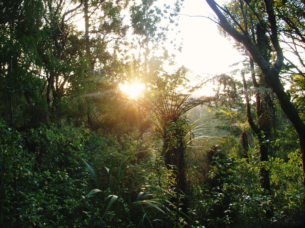 c0145750_16164376.jpg
