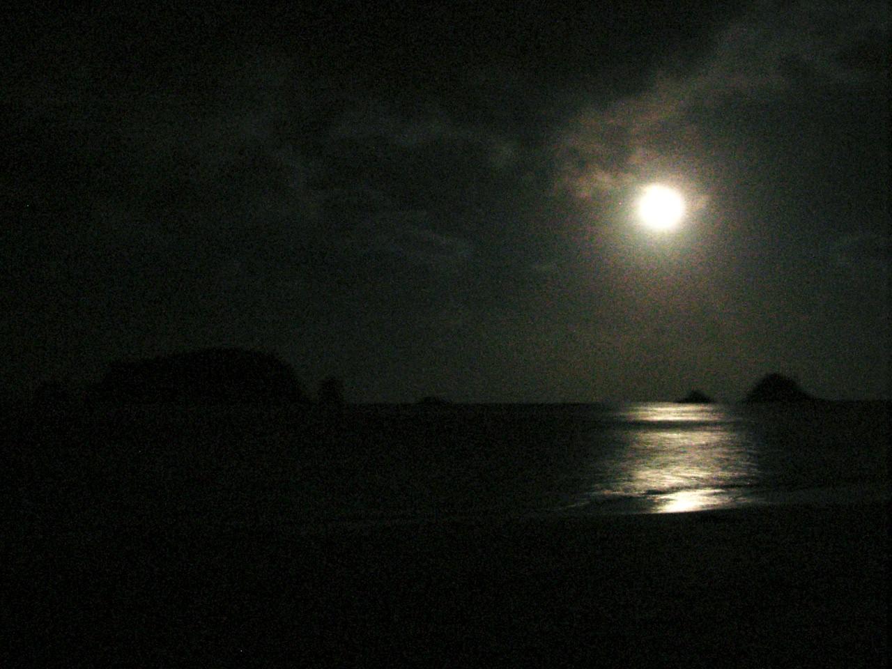 c0145750_162577.jpg
