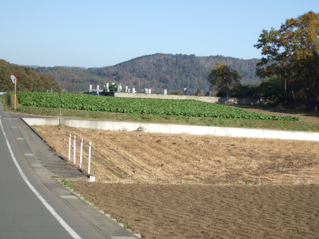 未だに捕まらない無免許運転常習犯（罰金１００万円）_e0009760_1022158.jpg