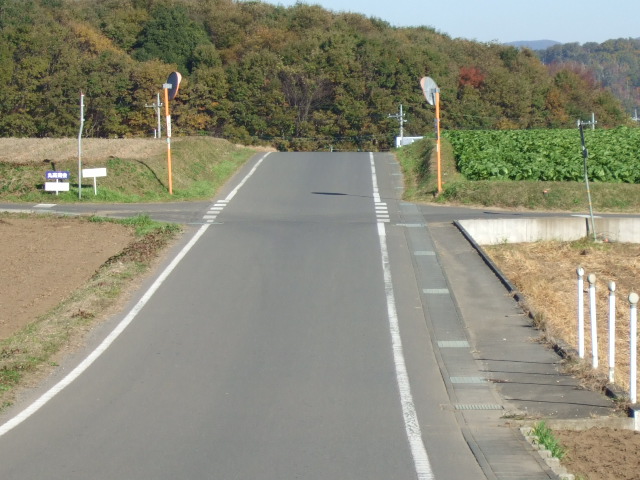 未だに捕まらない無免許運転常習犯（罰金１００万円）_e0009760_9563758.jpg