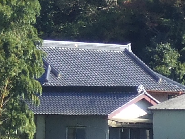 e0009760_9584575.jpg