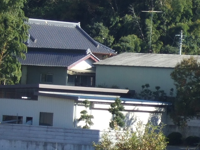 e0009760_958624.jpg