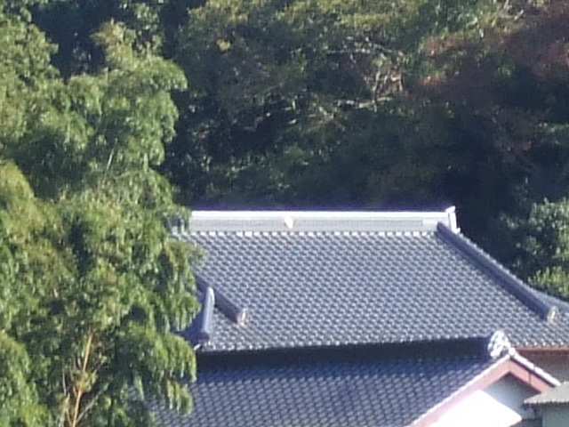 e0009760_9591511.jpg
