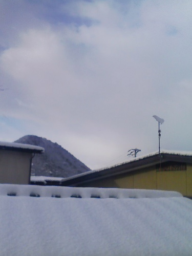 c0009461_8581058.jpg
