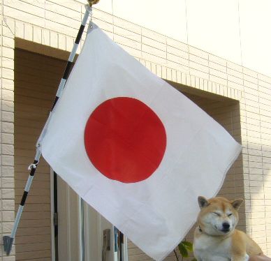 11月23日(金)勤労感謝の日!_f0060461_23163163.jpg