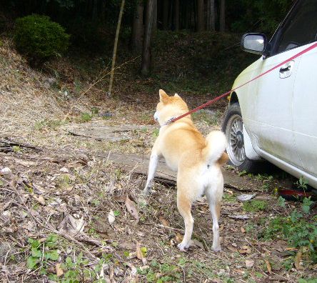 11月23日(金)勤労感謝の日!_f0060461_239933.jpg