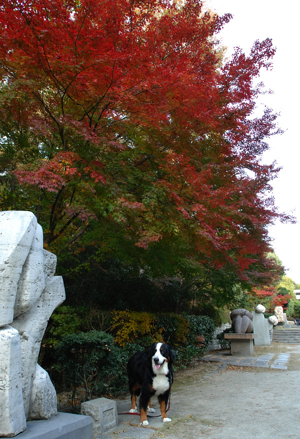 甲山森林公園_f0145674_22243260.jpg