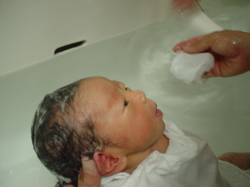 e0043777_2357455.jpg