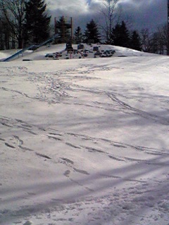 f0057284_22121389.jpg