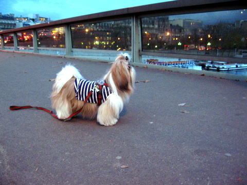 c0090198_330598.jpg
