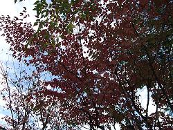 f0153998_0142135.jpg
