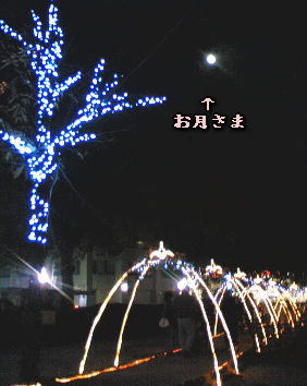 a0075802_2382886.jpg