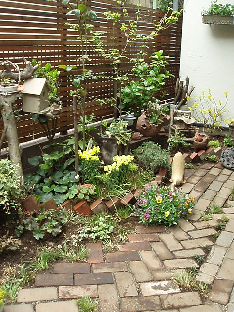 c0129702_1134399.jpg