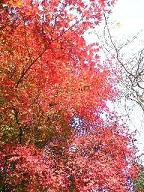 b0025405_23421423.jpg