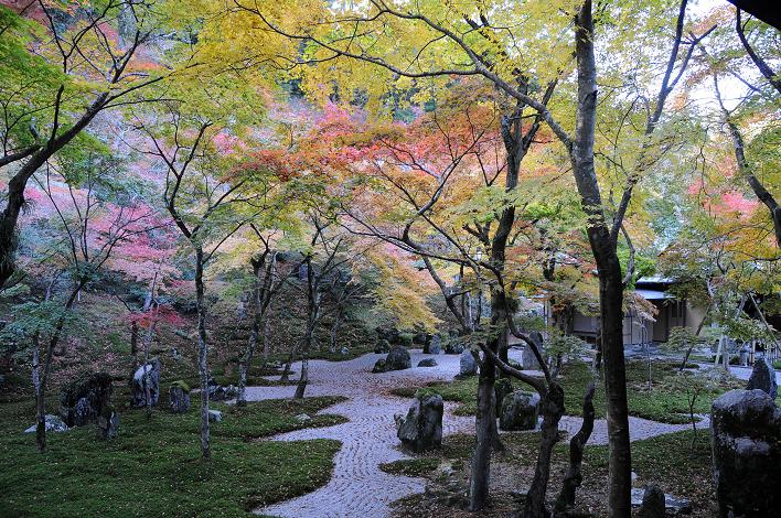 太宰府の紅葉 2007_a0042310_1232717.jpg