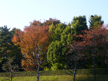 f0033510_1556711.jpg