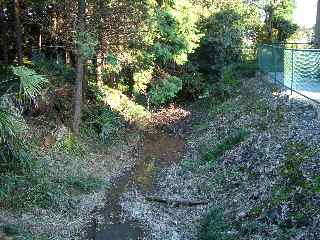 c0051112_22301374.jpg