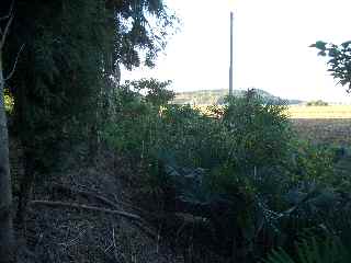 c0051112_22303590.jpg