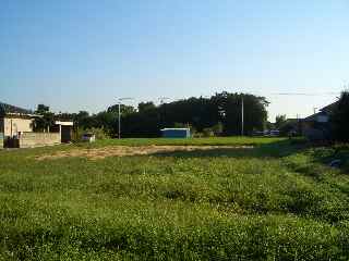c0051112_223129.jpg