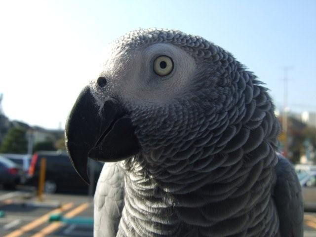 c0133013_22462359.jpg
