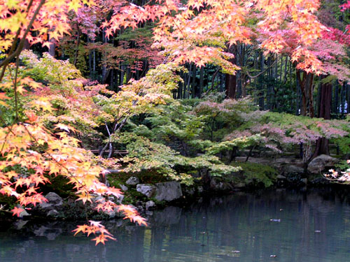 南禅寺4 天授庵_e0048413_2059311.jpg
