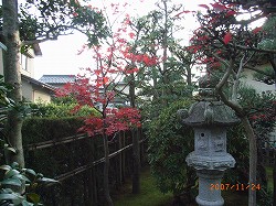 f0110413_16542873.jpg
