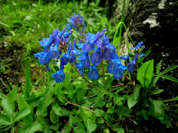 f0115214_15152291.jpg