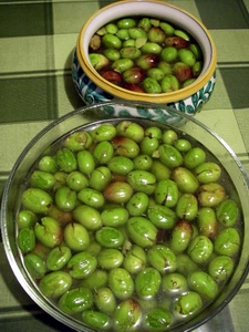 f0133814_4103231.jpg