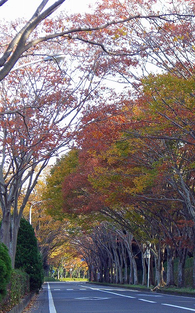 a0087818_21302411.jpg