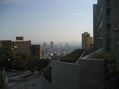 a0100318_858629.jpg