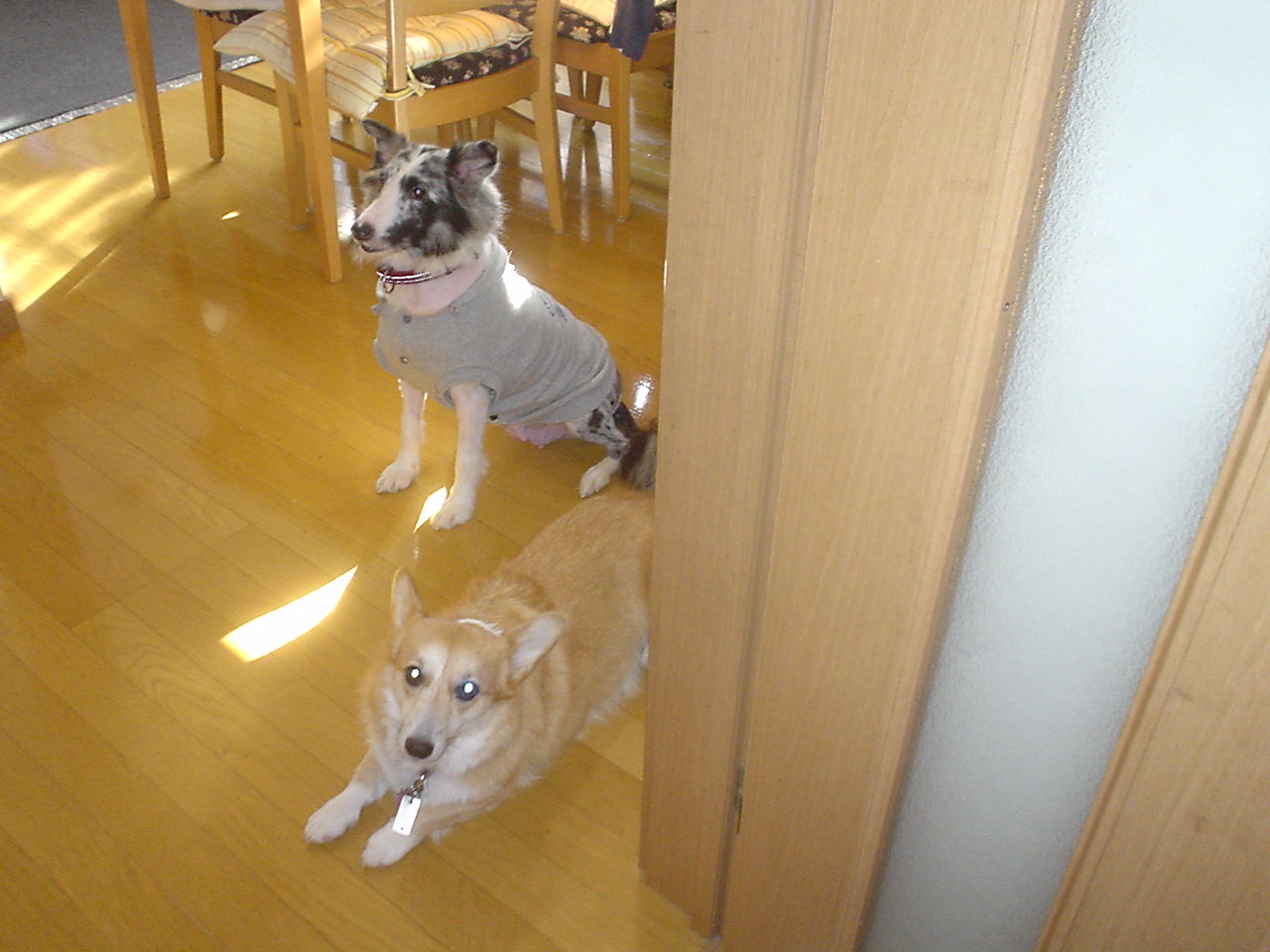 c0150520_2348348.jpg