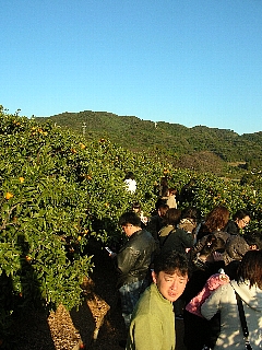 静岡浜名湖へ行ってきました。_f0095121_11265394.jpg