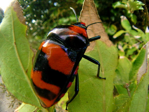 d0090322_21563326.jpg
