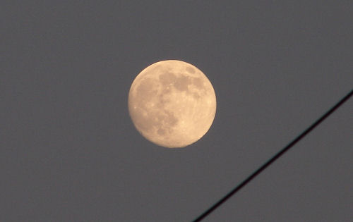 f0007926_13322975.jpg
