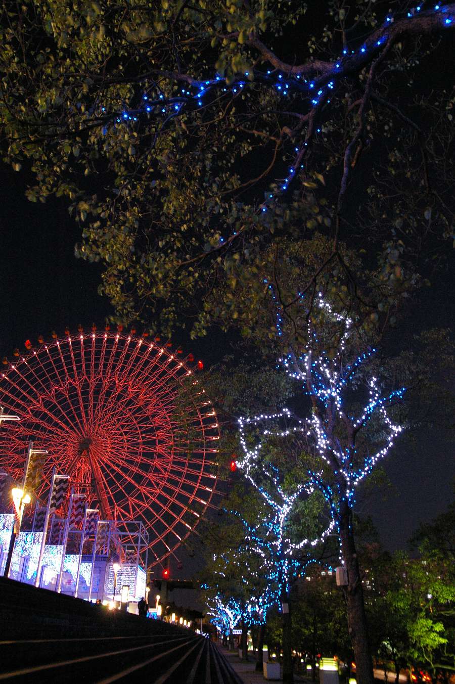 b0069128_1114323.jpg