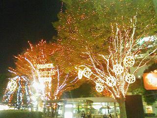 e0018829_17194666.jpg
