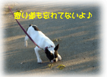 b0078030_18441988.gif