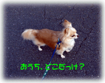 b0078030_1845185.gif