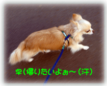 b0078030_18452885.gif
