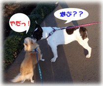 b0078030_18463815.gif