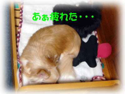 b0078030_18471116.gif