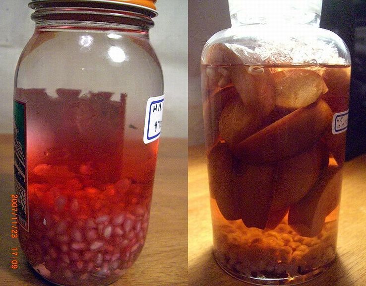 ざくろ酒 林檎酒 その後 ほっこリ日記 ざくろ酒 林檎酒 その後 ほっこリ日記