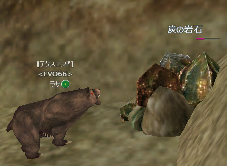 クマー！_f0076630_320159.jpg