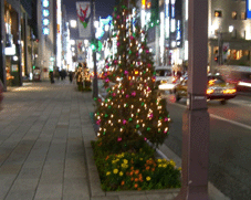 先週の話　～ｉｎ　東京～_e0096331_8491150.gif