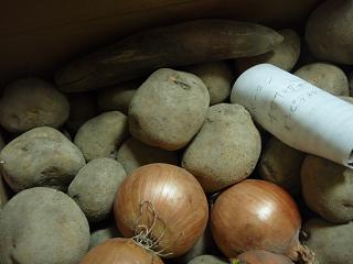 a0008538_1493188.jpg