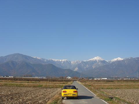 僕の黄色_a0014840_2247022.jpg