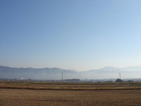 ゼイタクな散歩道_a0014840_22571269.jpg