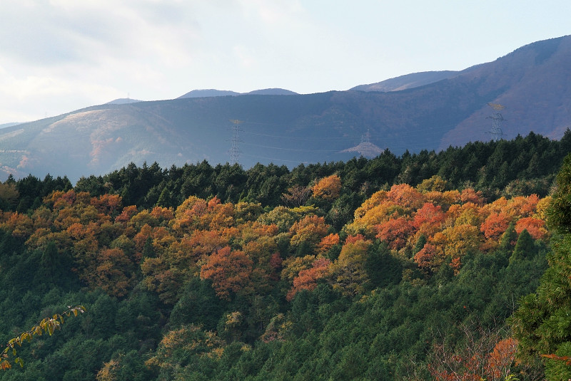 お散歩紅葉狩り...。_b0109942_18595590.jpg