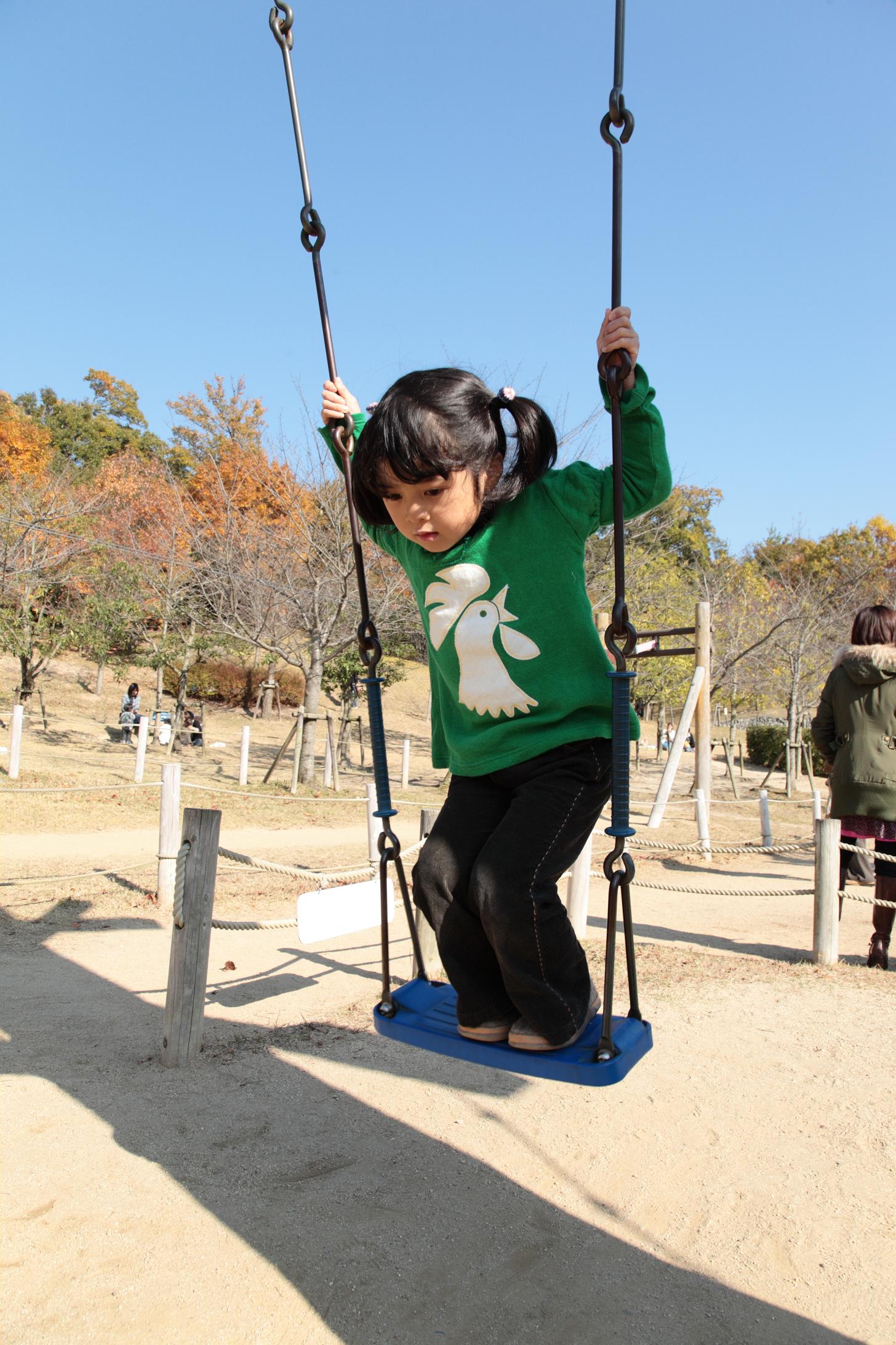 ブランコの立ちこぎができたよ Eos ５d Diary