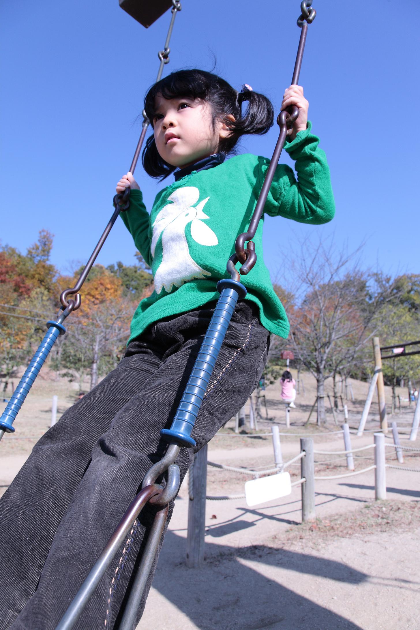 ブランコの立ちこぎができたよ Eos 5d Diary ブランコの立ちこぎができたよ Eos 5d Diary